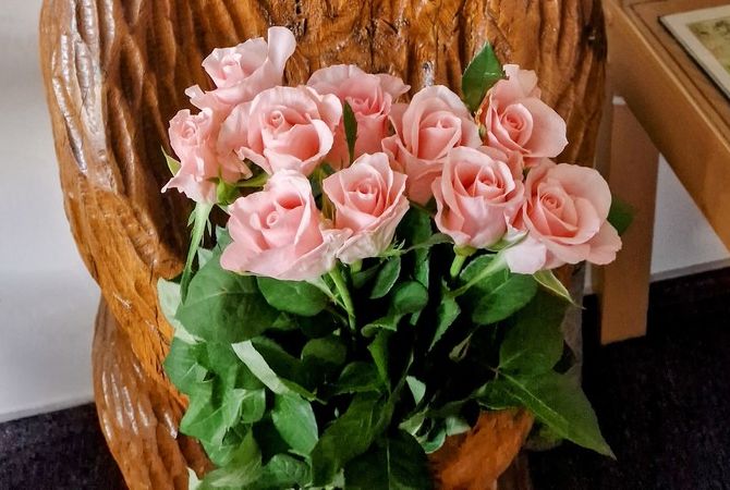 obvestila/20260324-EDIT